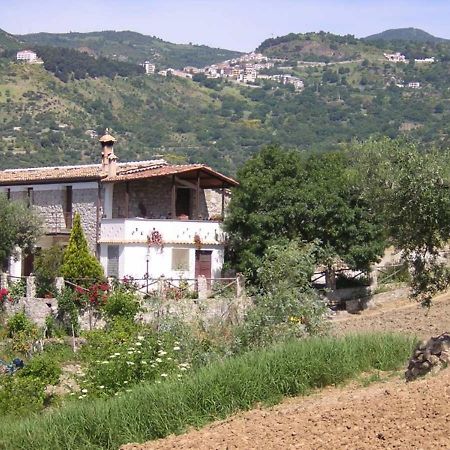 Agriturismo Acampora Cerchiara di Calabria Exterior foto