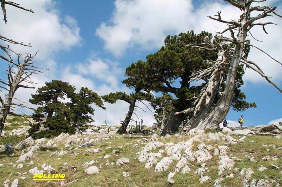 Agriturismo Acampora Cerchiara di Calabria Exterior foto